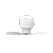 Bathroom Multi-functional Sanitary Rental Hanging Fan Mute Toilet